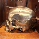 Polished Bronze Jaw-less Skull