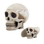 Skull Box